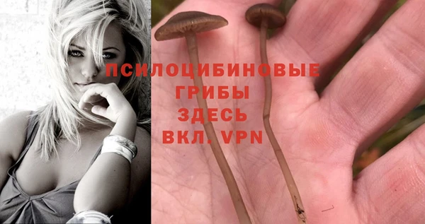 кристаллы Алзамай