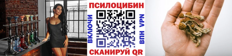 Псилоцибиновые грибы Magic Shrooms  закладки  Алапаевск 